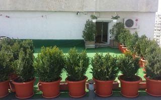 Penthouse, 6 cam, terasă, 160mp utili Piata Alba Iulia. - Poză 12