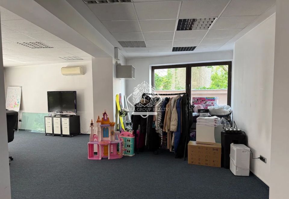 Cismigiu-Victoriei I Spatiu de Birouri I Complex Rezidential - Poză 4