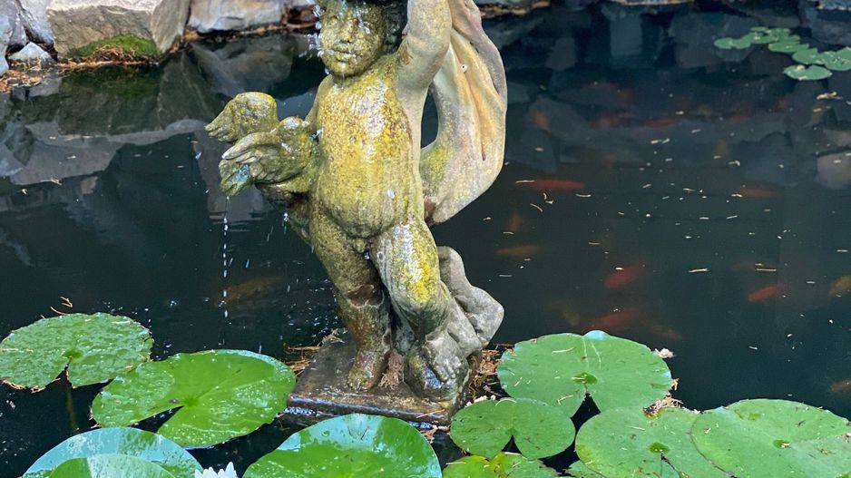 Vila in Braytim cu piscina - Poză 28