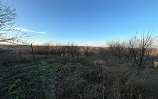 Casa 4 camere | 40 MPU | Curte 1.151MP | Teren 2.359 MP | Alba Iulia | Ohaba - Poză 16