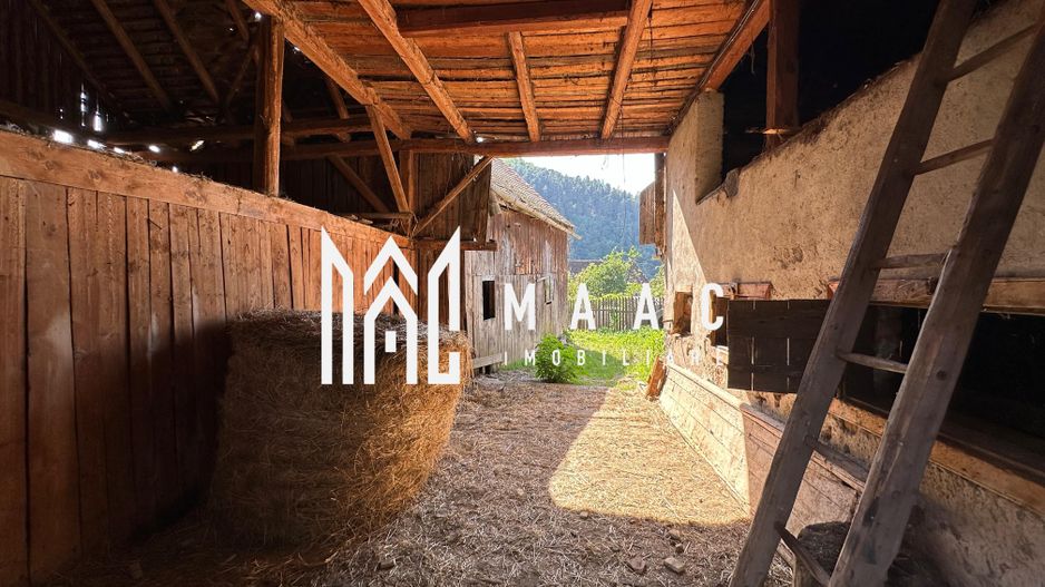 BLACK FRIDAY Casa individuala 3 camere | Teren | Gura Raului - Poză 7