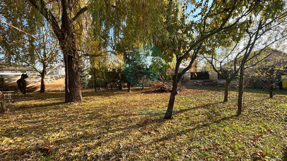 Vanzare teren central Otopeni - Poză 2