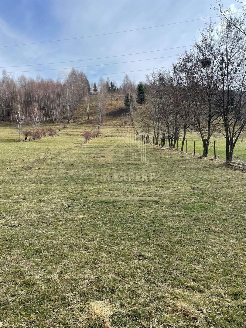 TEREN INTRAVILAN 2500 MP, LERESTI, ARGES - Poză 2