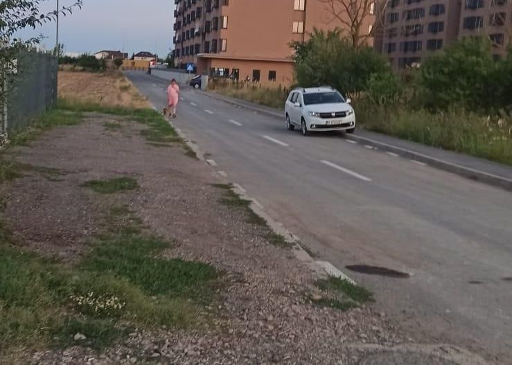 Teren Branesti - Strada Noua - Poză 2