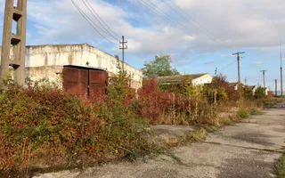 Fermă Sărand | Bihor | 25.659 mp teren intravilan - Poză 13