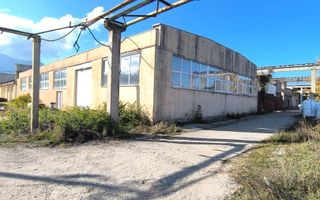 Hală de vânzare – Parcul Industrial Tohanul Vechi, Zărnești - Poză 2