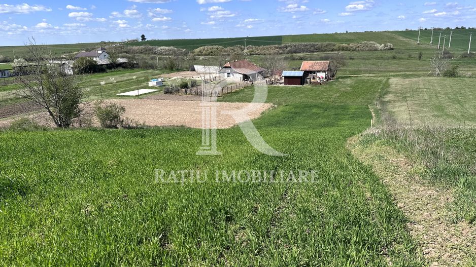 Teren intravilan | Leș | Bihor - Poză 1