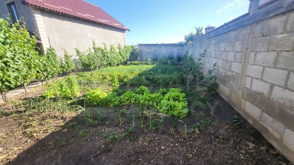 Vânzare casă, 133 mp + 5,5 ari, str. Budai, or.Hincesti. - Poză 36