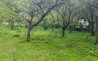 TEREN INTRAVILAN 7018 MP CAMPULUNG - Poză 34