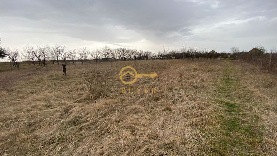 Teren de vanzare in Daia(apa, canal, curent,)- 800mp- Pret atractiv - Poză 7