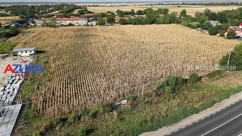 AZURA Imobiliare - Teren la DN7 langa Gaesti, Crangurile - Badulesti - Poză 13