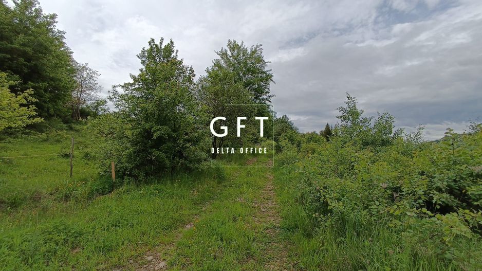 Teren Extravilan Valea Ghinzii 15 ari - Poză 6