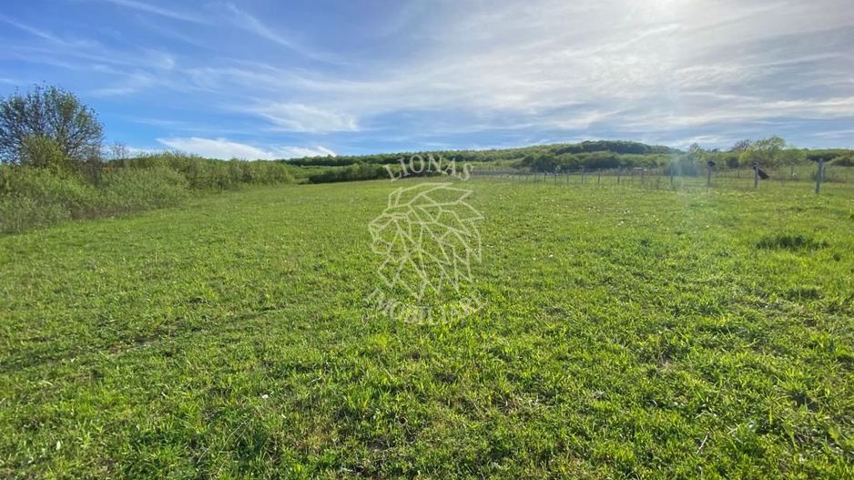 Teren 2160 mp - pretabil pentru cabana - investitie - Jelna - Poză 8