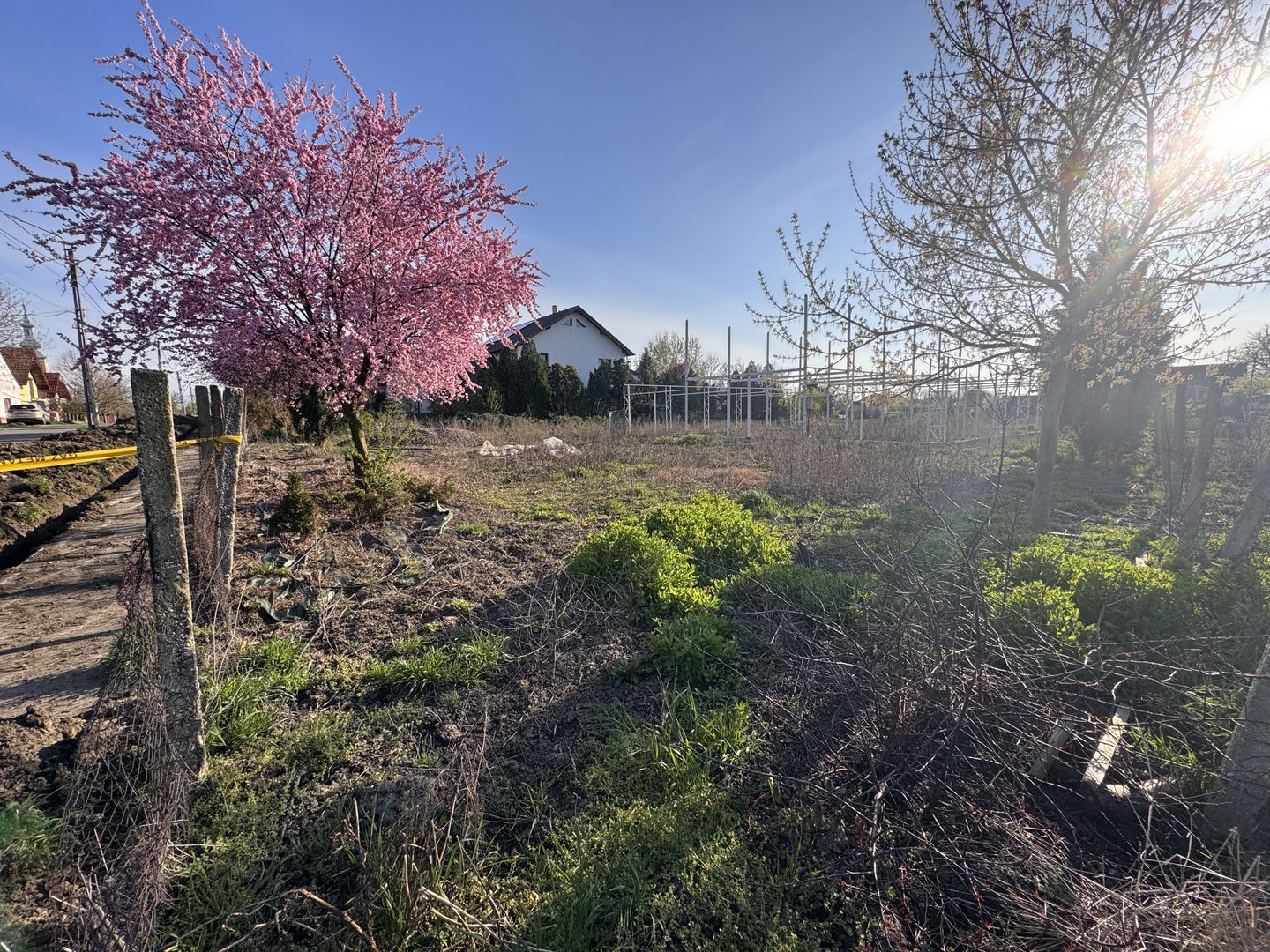 Teren Intravilan Becicherecu Mic 750mp,F.S 19ml,Utilitati,Asfalt - Poză 2