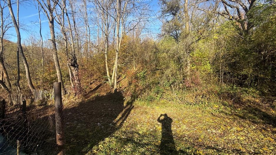 Teren langa pădure 6400mp+casa demolabila-deschidere 35 ml - Poză 4