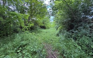 Teren plat-intravilan -3800 mp, cu pădurice și ieșire la râu! - Poză 19