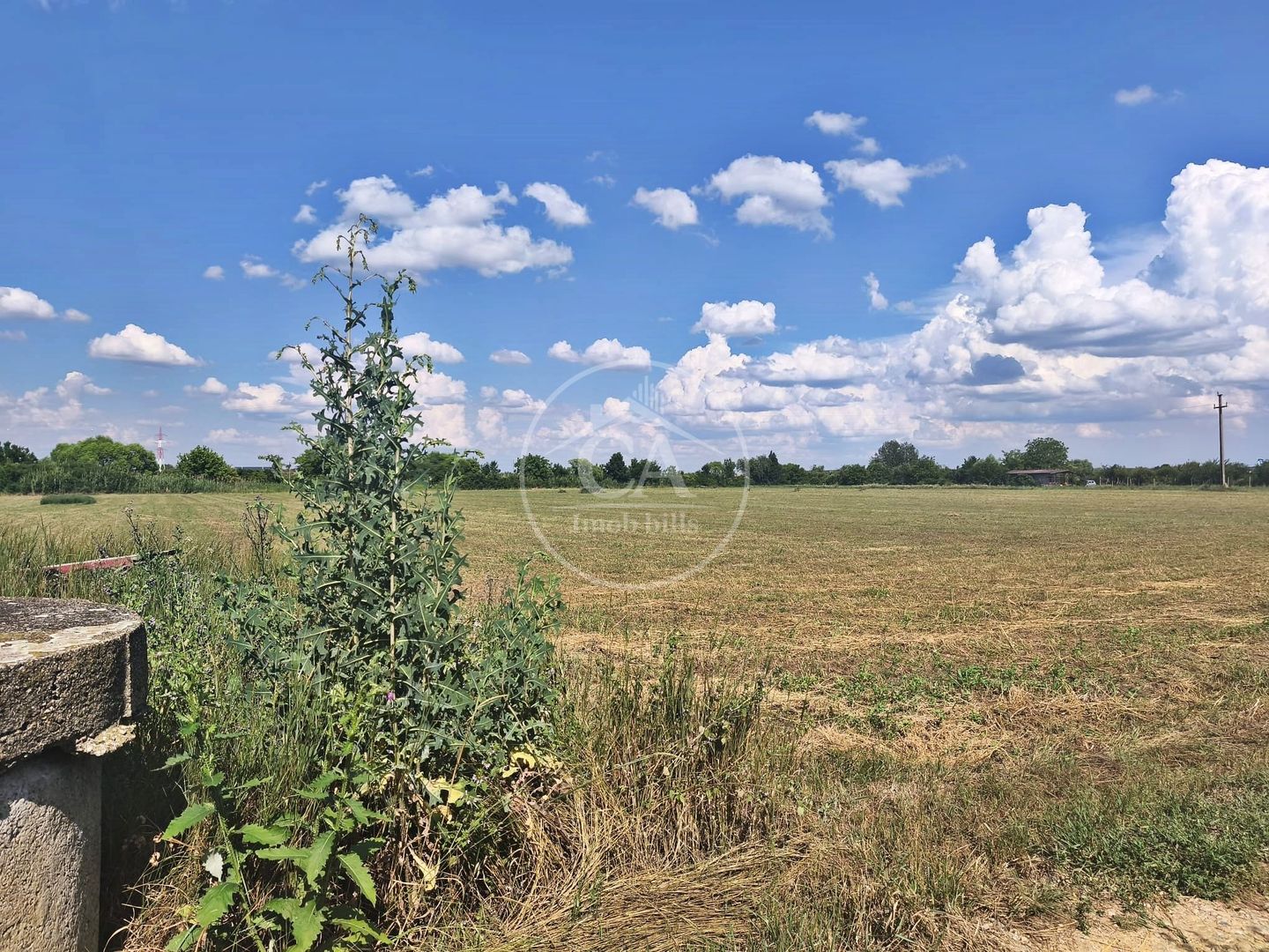 Teren extravilan/intravilan de vânzare in Nufarul, Oradea - Poză 4