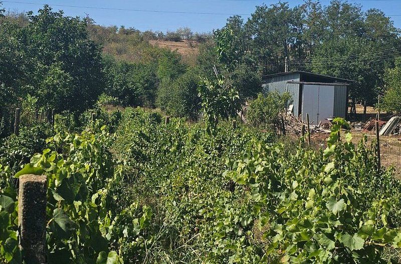 Teren 1800 mp + casa batraneasca - Fartanesti, jud. Galati - Poză 5