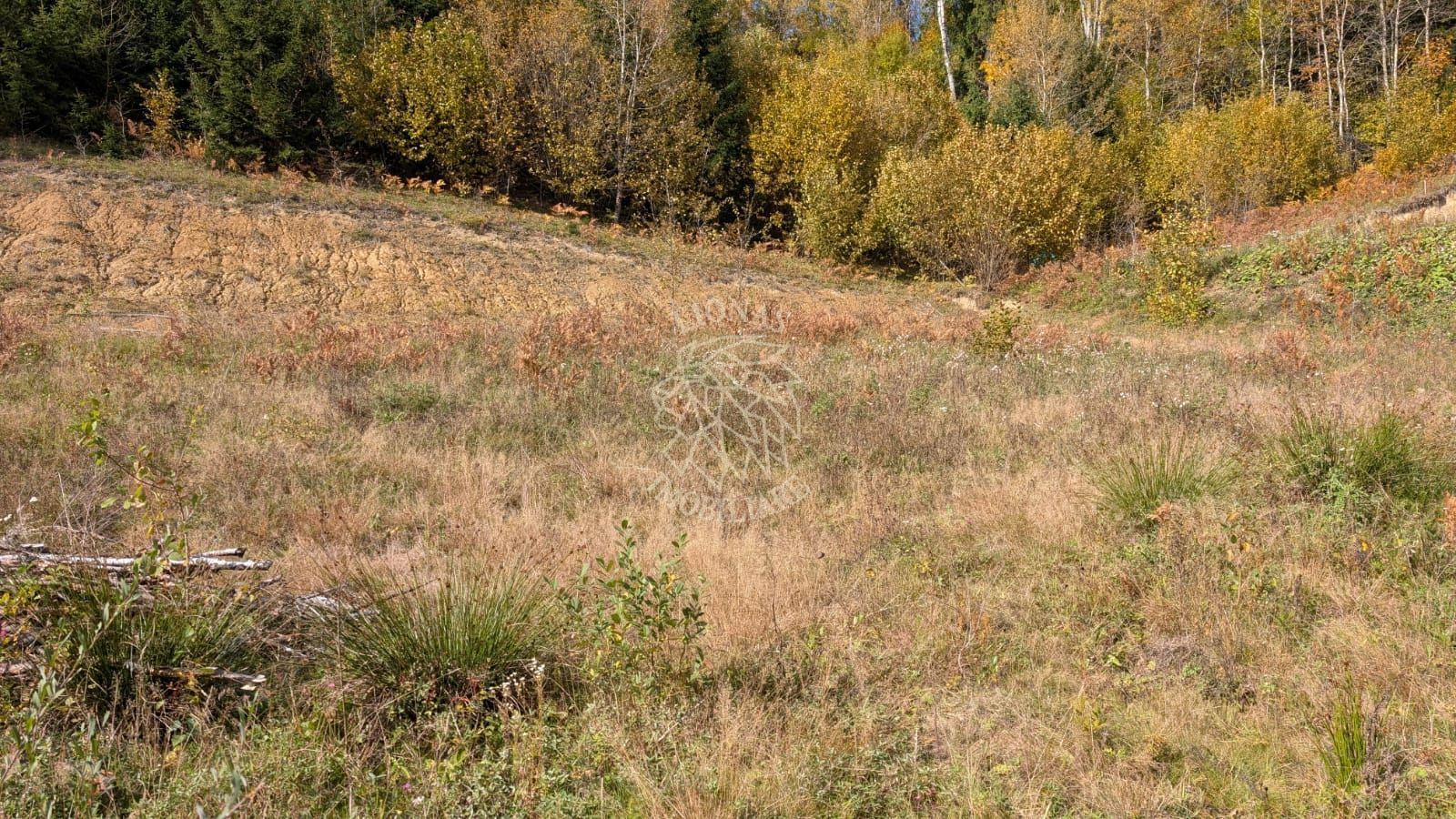Parcele 800-1000 mp intravilan-350m distanta fata de Lac Colibita - Poză 2