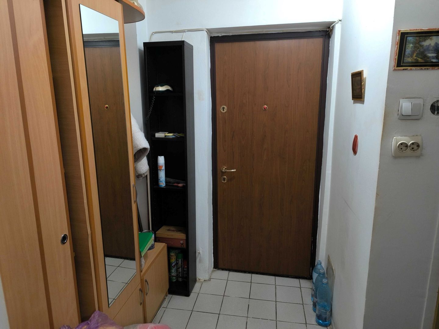 Garsoniera zona Basarabiei - Nicoale Sebe - Poză 2