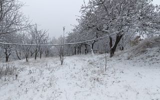 Teren de vanzare Adâncata - Poză 12