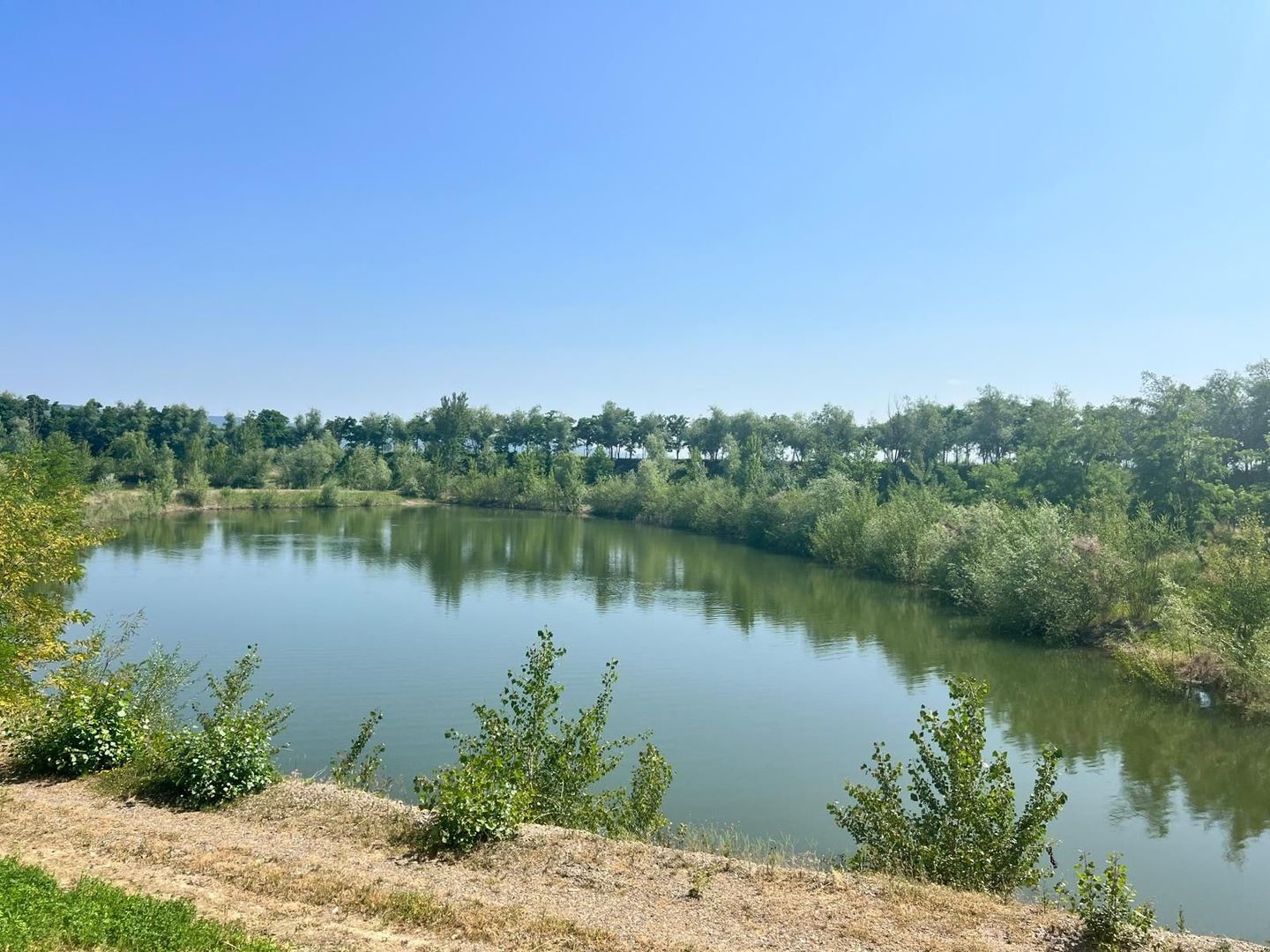 Iaz Piscicol Bacau Saucesti - Poză 5