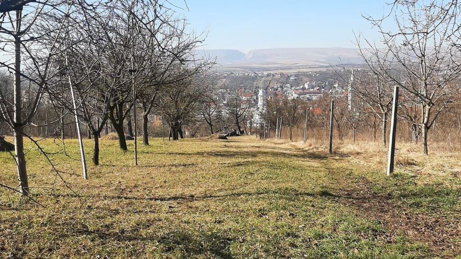 Teren de vanzare in Turda - Poză 6