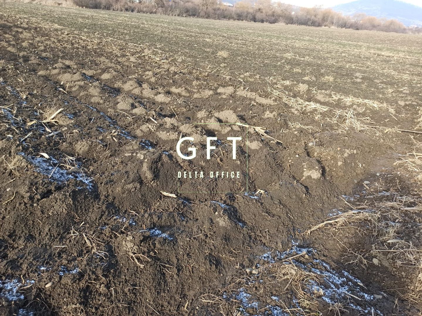 Teren 2906 mp - ideal investitie - Sarata - Poză 3