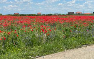 Teren Remetea Mare 720mp -2 fronturi I - Poză 11