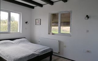 Imobil tip pensiune Dangau Mare - Poză 6