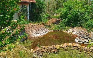 Hala Constructie Caramida | Ineu | Bihor - Poză 19