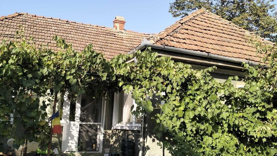 Casa 81mp, teren 81 ari, anexe, pomărie tânără de meri de vânzare - Poză 1