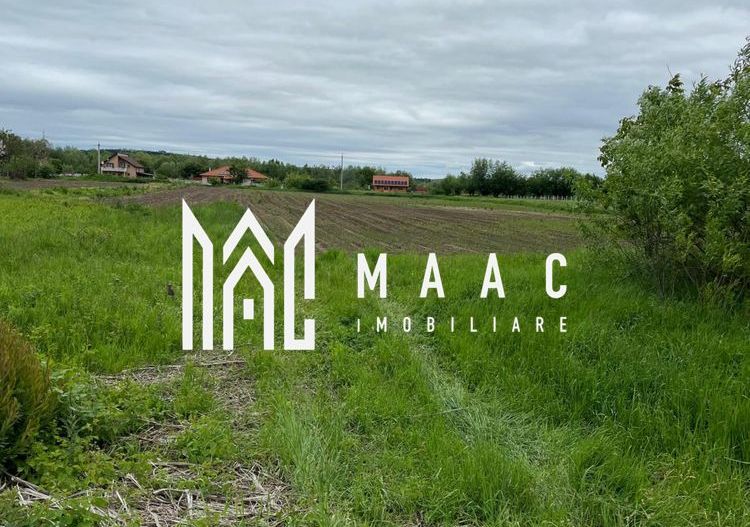 Teren de vanzare | 4.300 Mp | Cristian - Poză 5