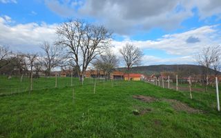 Casa individuala I Curte I Teren 1700 mp I Rosia - Poză 9