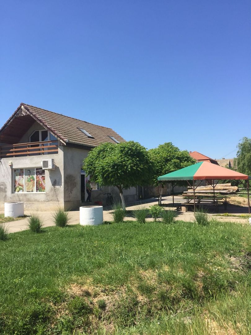 Spațiu comercial | DN69  | comuna Pesac | 50 km de Timișoara - Poză 2