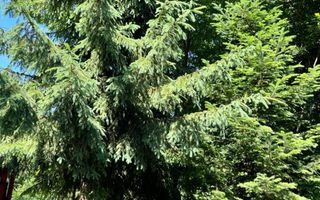 Pensiune Turistica 360MPU | Porumbacu de Sus | - Poză 4