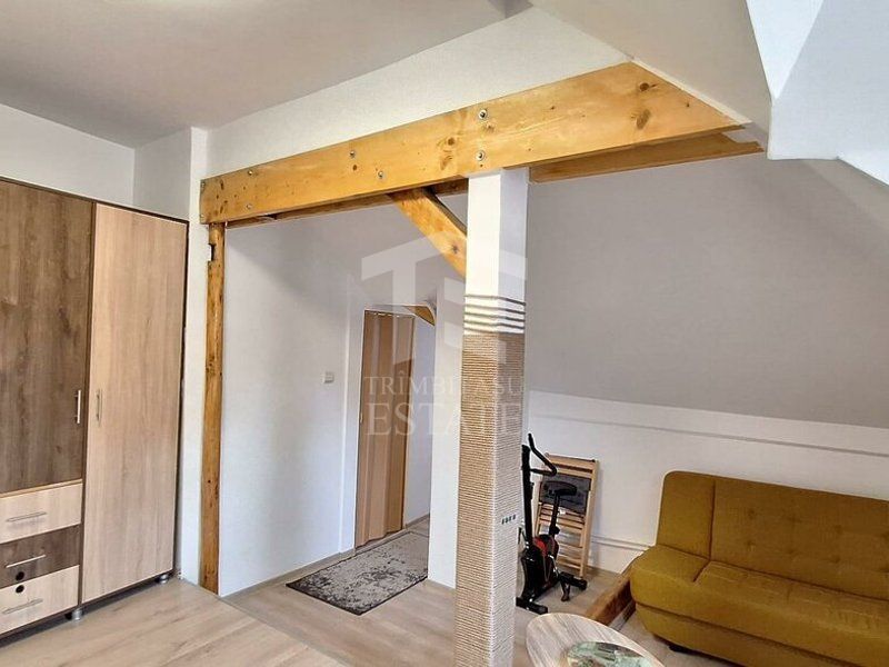 Apartament cochet 3 camere Central- str.Monumentului - Poză 19