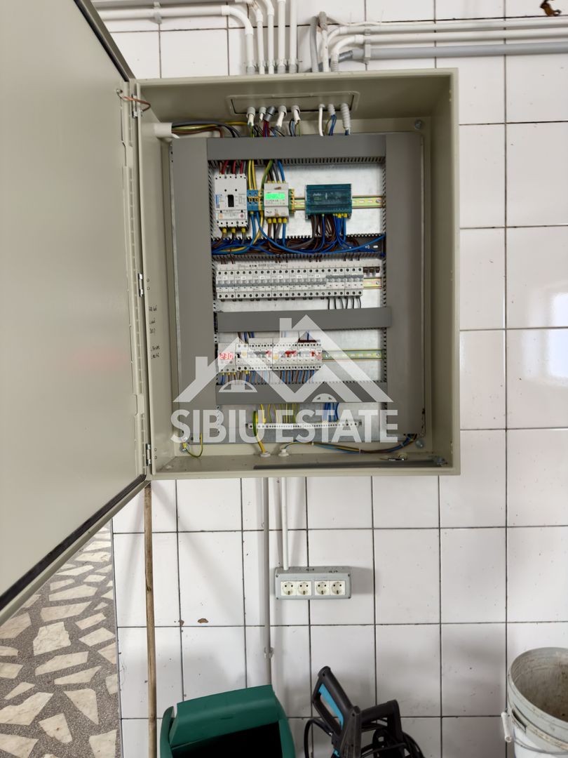 Spatiu productie zona Selimbar, pretabil alimentatie, productie - Poză 5