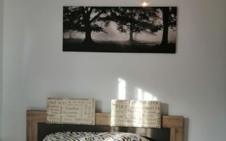 Apartament 2 camere decomandat - zona Tractorul(Casa Nobel) - Poză 12