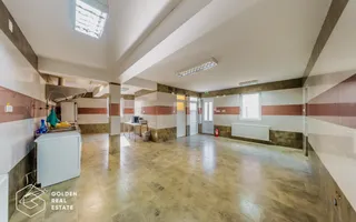 Proprietate pretabila pentru afacere, Cladova - Poză 27