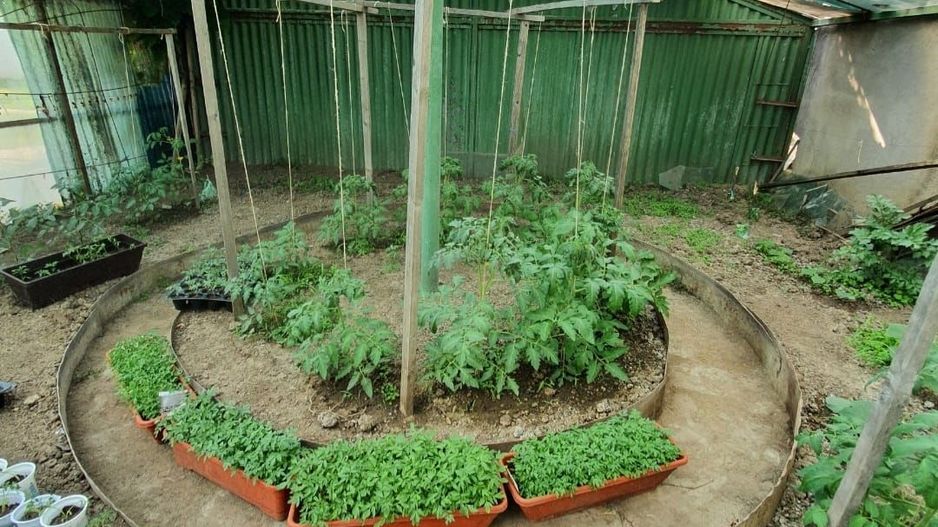 Casa | 9 camere | Garaj | Piscina | Teren 3.000 mp | Comision 0% - Poză 26