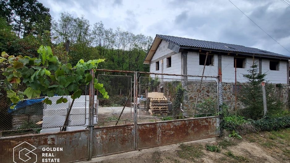 Casa de vacanta Baratca, comuna Paulis - Poză 4