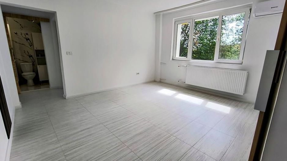 Ion Mihalache- Pta Chibrit- Calea Grivitei - Poză 1