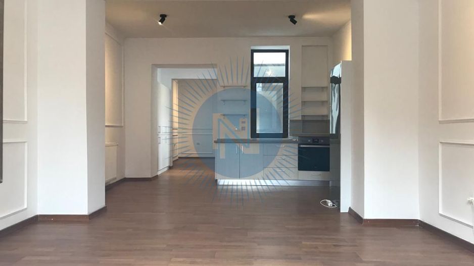 Vilacu curte individuala Kiseleff - Poză 15