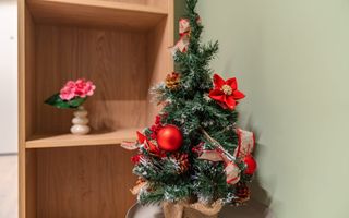 Studio dublu Ivory Pipera I Mobilat  PREMIUM I DIRECT PROPRIETAR - Poză 31