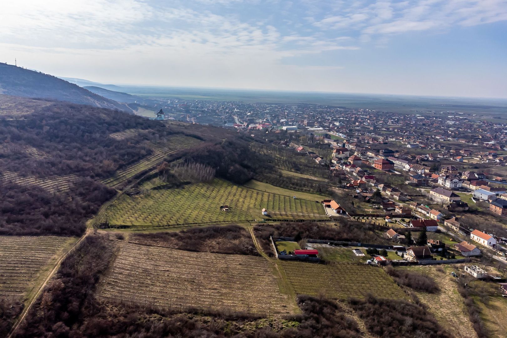 Teren pe deal la Șiria - Poză 3