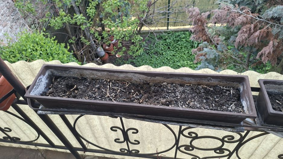 BRASADAS vinde apartament cu 3 camere la etaj in casă - Poză 7