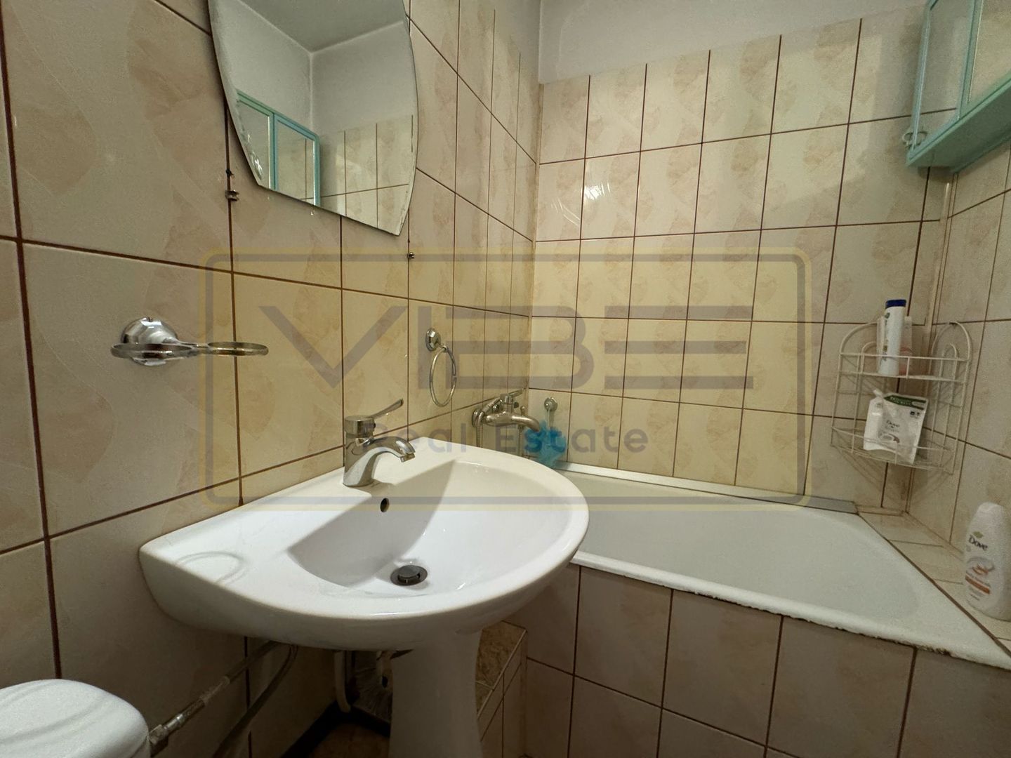 Apartament 2 camere Alexandru cel Bun- 5 min Parcul Voievozilor - Poză 11