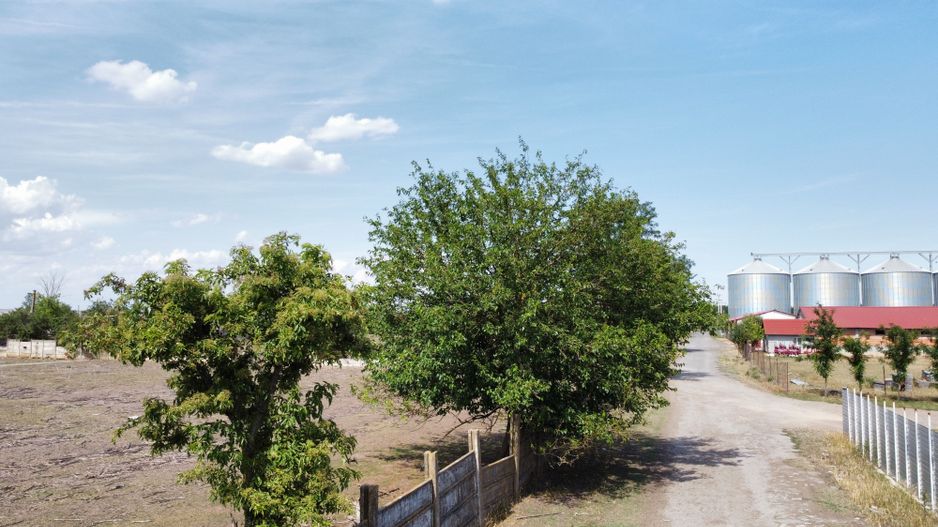 Teren intravilan -Jimbolia zona Kikindei - Poză 54