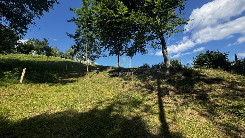 TEREN INTRAVILAN,  SUPRAFAȚA 3446 MP, BUGHEA DE SUS, ARGES - Poză 19